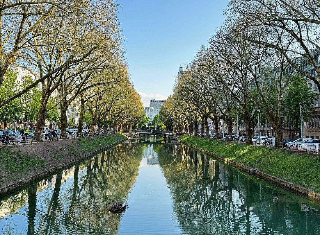 Auf dem Foto sieht man die Königsallee in Düsseldorf