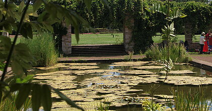 Auf dem Bild sieht man den Teich im Nordpark in Düsseldorf bei schönem Wetter (Foto: Michelle Pieczyk)