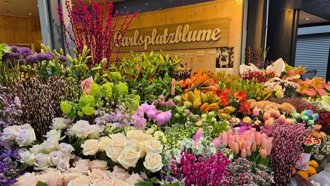 Blumenstand „Carlsplatzblume“ auf dem Carlsplatz mit vielen verschiedenen Blumenarten