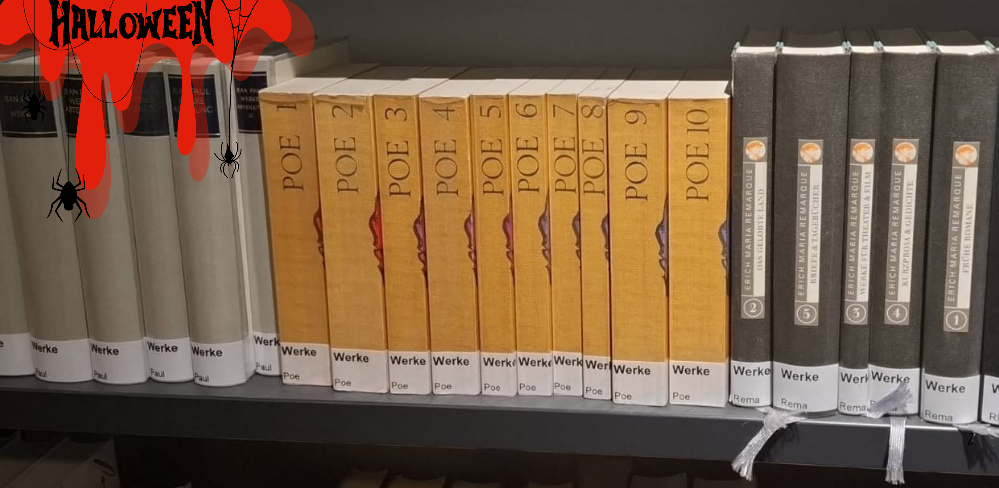 Auf dem Bild sieht man die Werke von Edgar Allan Poe in der Bibliothek (Foto: Lisa Omenzetter)